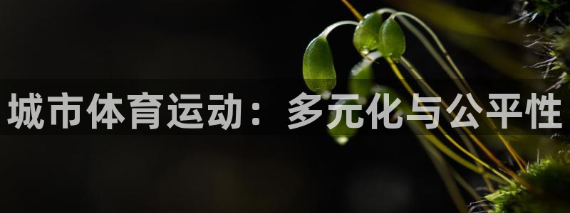 三亿体育网页版：城市体育运动：多元化与公平性