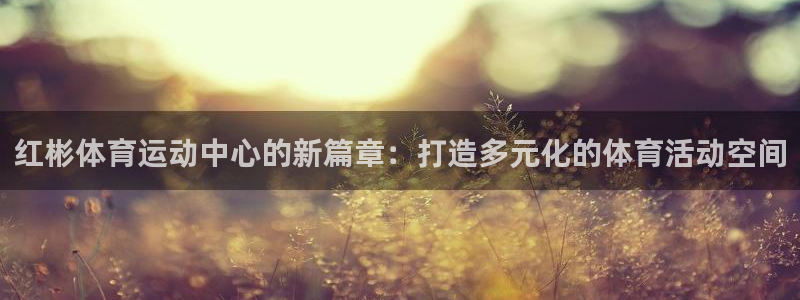 三亿体育登录：红彬体育运动中心的新篇章：打造多元化的体育活动空间