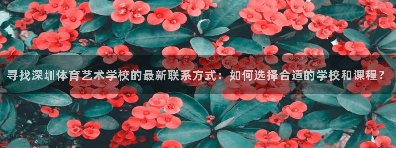三亿体育网页版：寻找深圳体育艺术学校的最新联系方式：如何选择合适的学校和课程？