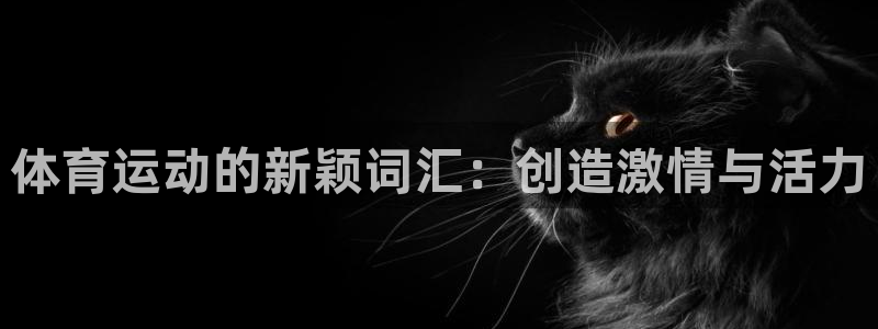 三亿体育网：体育运动的新颖词汇：创造激情与活力