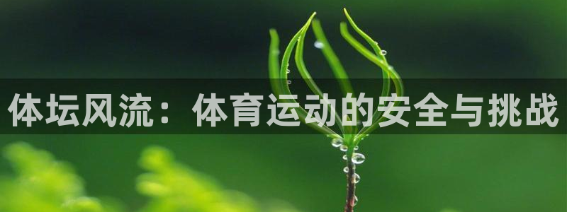 三亿体育网页版：体坛风流：体育运动的安全与挑战