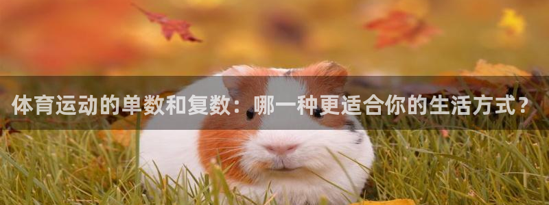 三亿体育登录：体育运动的单数和复数：哪一种更适合你的生活方式？