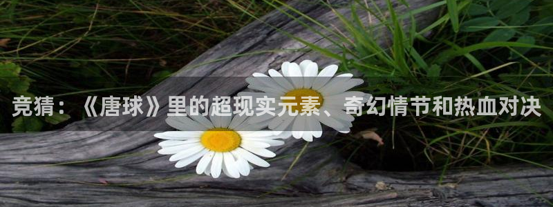 三亿体育网：竞猜：《唐球》里的超现实元素、奇幻情节和热血对决