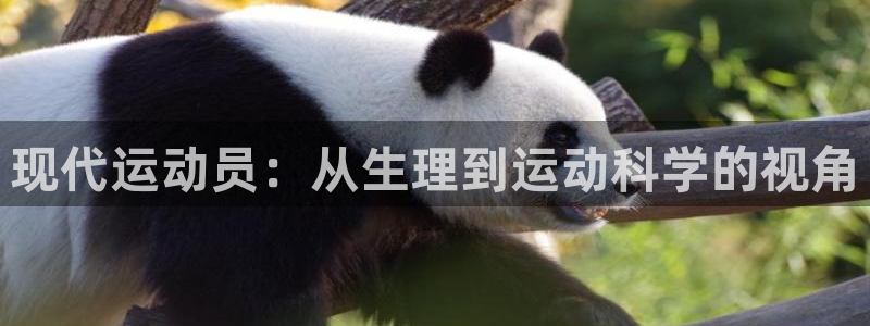 三亿体育网：现代运动员：从生理到运动科学的视角