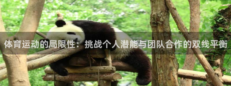 三亿体育网页版：体育运动的局限性：挑战个人潜能与团队合作的双线平衡