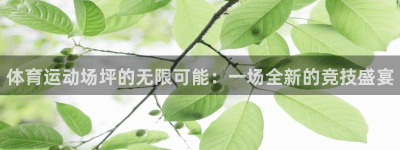 三亿体育登录：体育运动场坪的无限可能：一场全新的竞技盛宴