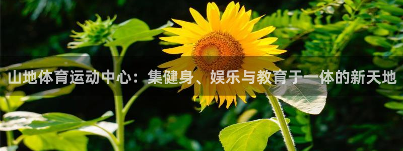 三亿体育网：山地体育运动中心：集健身、娱乐与教育于一体的新天地