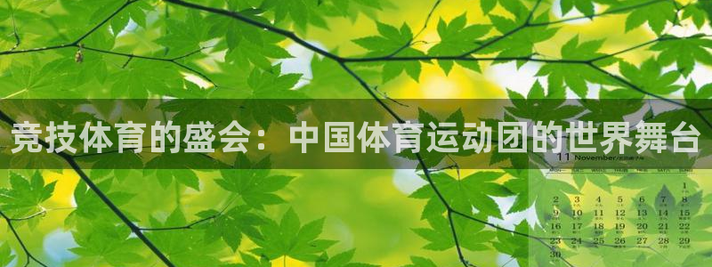三亿体育登录：竞技体育的盛会：中国体育运动团的世界舞台